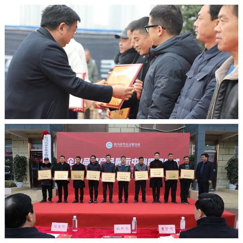 對接合作 共贏發展 駐馬店市企業家協會企業品牌產品展示中心揭牌儀式成功舉行