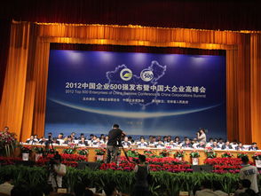 企業(yè)家協(xié)會(huì)大會(huì)主席臺(tái)全景紀(jì)實(shí)